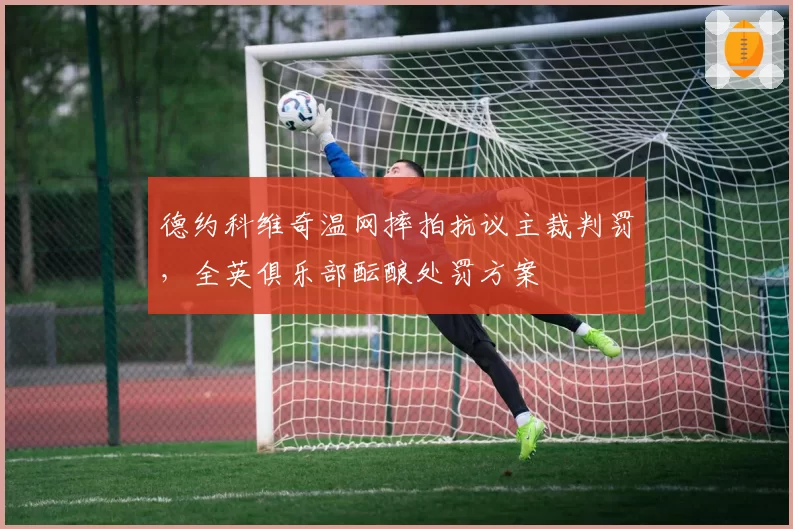 德约科维奇温网摔拍抗议主裁判罚，全英俱乐部酝酿处罚方案
