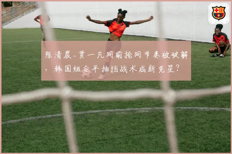陈清晨_贾一凡网前抢网节奏被破解,韩国组合平抽挡战术成新克星?
