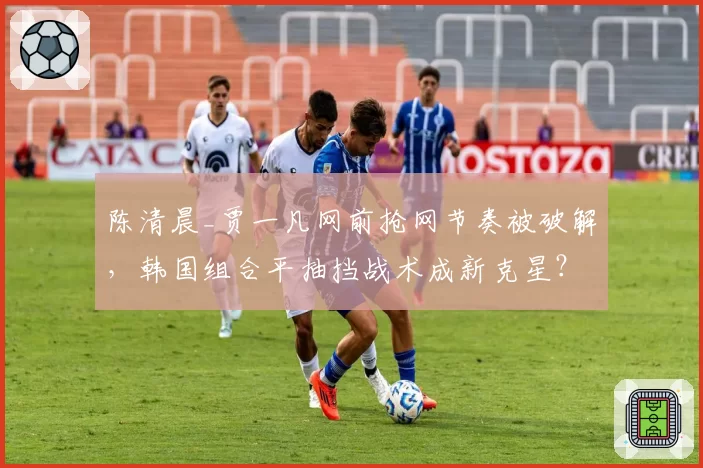 陈清晨_贾一凡网前抢网节奏被破解,韩国组合平抽挡战术成新克星?